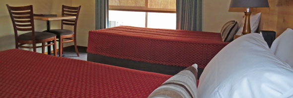 hamilton accommodation motel room goldsmith