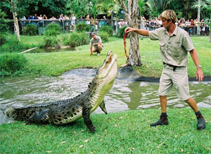 Australia Zoo