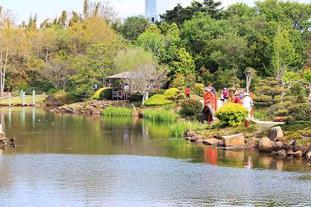The Japanese Garden - Toowoomba
