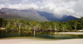 Beachside Cardwell is the gateway to stunning Hinchinbrook Island.